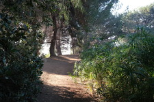 Enlarge photo 8