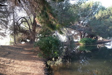 Enlarge photo 13