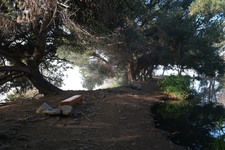 Enlarge photo 15