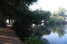 Enlarge photo 17