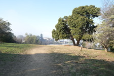 Enlarge photo 18