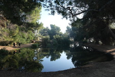 Enlarge photo 22