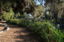 Enlarge photo 23