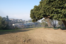 Enlarge photo 25