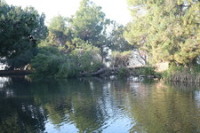 Enlarge photo 27