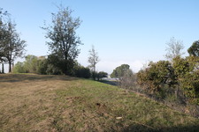 Enlarge photo 37
