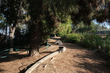 Enlarge photo 39