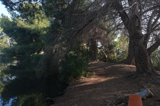 Enlarge photo 41