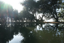 Enlarge photo 46