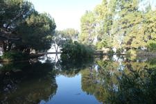 Enlarge photo 12