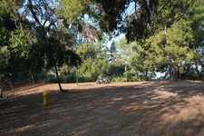 Enlarge photo 19