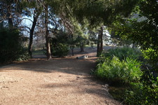 Enlarge photo 20