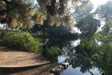 Enlarge photo 28