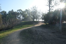 Enlarge photo 29