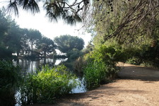 Enlarge photo 30