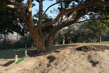 Enlarge photo 33