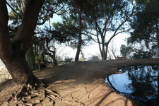 Enlarge photo 34