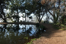 Enlarge photo 36