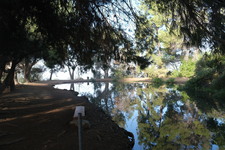 Enlarge photo 38