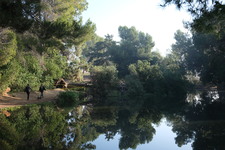 Enlarge photo 40