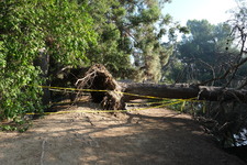 Enlarge photo 42