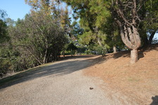 Enlarge photo 44
