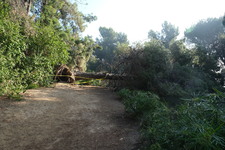 Enlarge photo 45