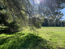 Enlarge photo 34