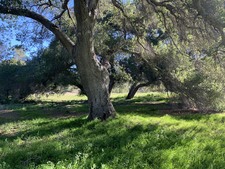 Enlarge photo 35