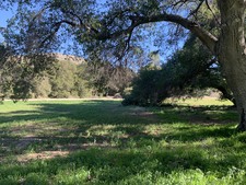 Enlarge photo 36
