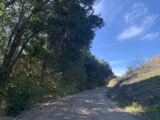 Enlarge photo 37
