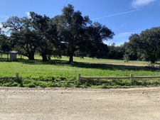 Enlarge photo 38