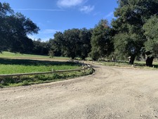 Enlarge photo 39