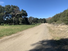 Enlarge photo 44