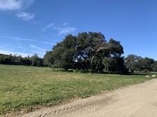 Enlarge photo 45