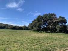 Enlarge photo 46