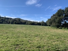 Enlarge photo 47