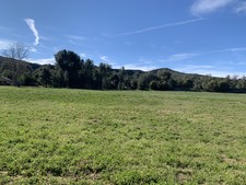 Enlarge photo 48