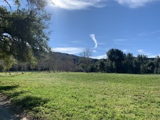 Enlarge photo 49