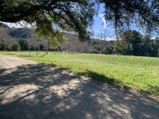Enlarge photo 50