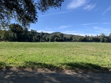 Enlarge photo 51