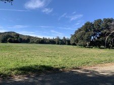Enlarge photo 52