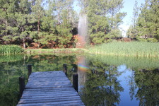 Enlarge photo 2