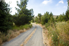 Enlarge photo 6