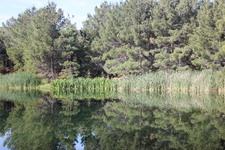 Enlarge photo 16