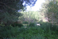 Enlarge photo 17