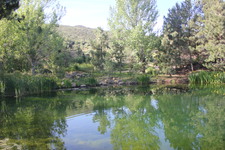 Enlarge photo 18