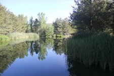 Enlarge photo 7
