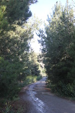 Enlarge photo 10