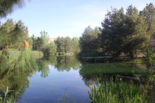 Enlarge photo 11